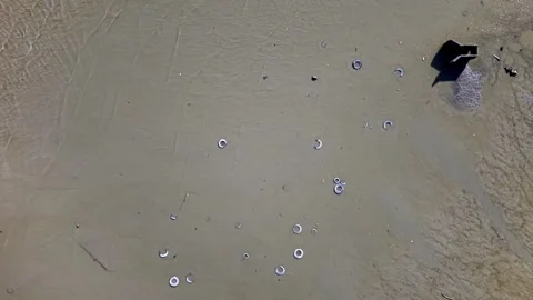 Muddy water surface with floating debris and small circular objects close-up Stock Footage 336882905