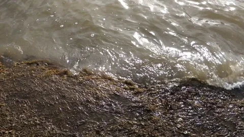Muddy water waves on the coast Stock Footage 125442839