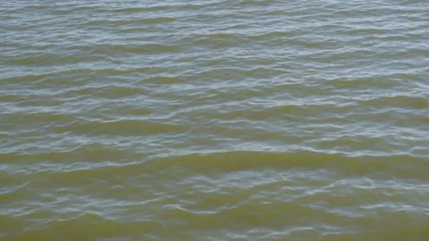 Muddy water wavy surface of moving water Stock Footage 164301620