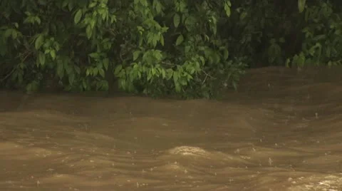 The Muddy Waters of the Amazon River 3 스톡 동영상 19034944