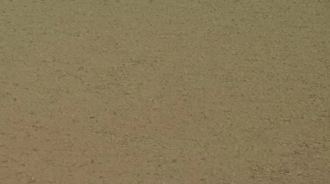 The Muddy Waters of the Amazon River Stock-Footage 19034552