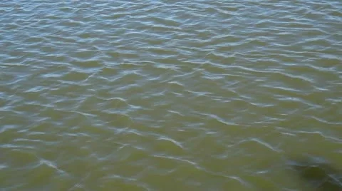 Muddy Waters At Pond Video stock 12128537