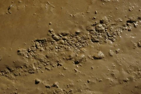 Muddy wet path Stock-Fotos