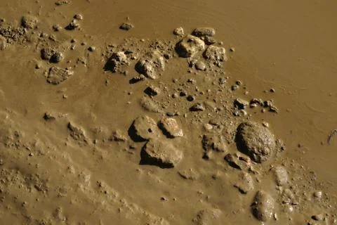 Muddy wet path Foto stock
