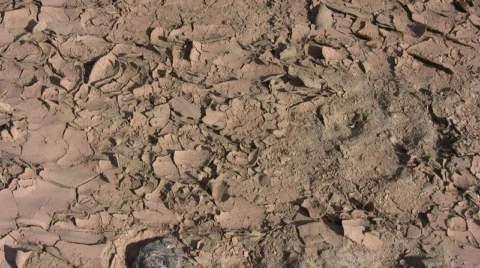 MuddyBottomPanUp Vídeo Stock 281522