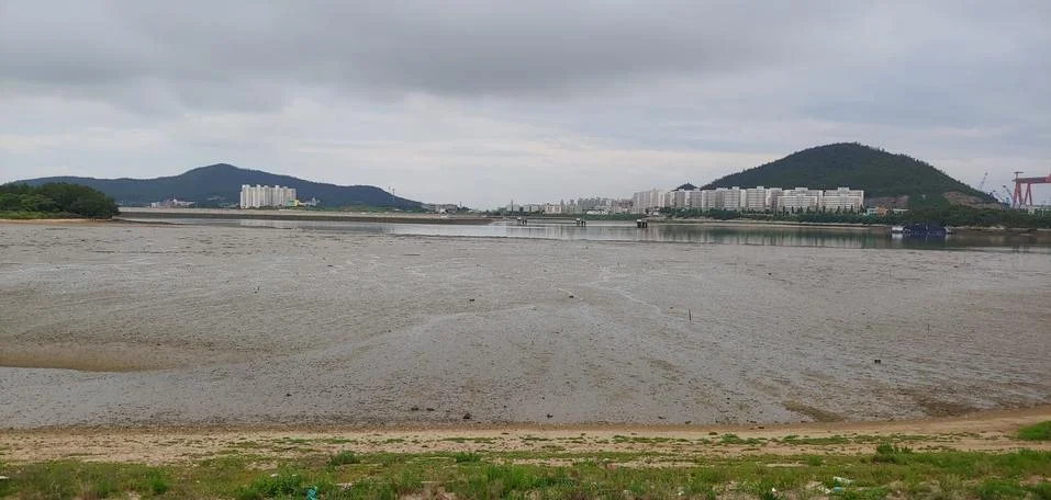 A mudflat that borders the city. Stock Photos