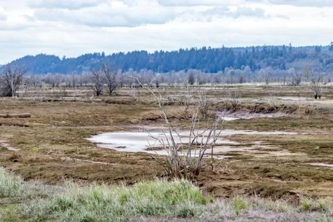 Mudflats and mountains Stock Photos