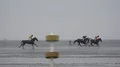 Mudflats Horse racing at german North Sea coast 4k or 4k+ Resolution