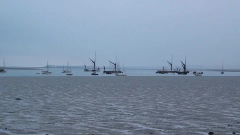 Mudflats with moored barges and gulls, Kent, England Stock Footage 70902290