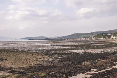 Mudflats stretch wide under soft, cloudy skies Stock Photos
