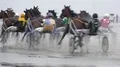 Mudflats Trotting Race and Horse racing at german North Sea coast 4k or 4k+ Resolution