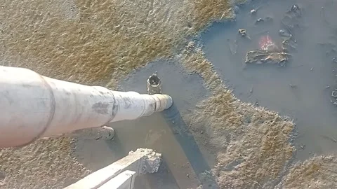 Mudskipper Fish on Wet Coastal Mudflat During Low Tide Stock Footage 340534534