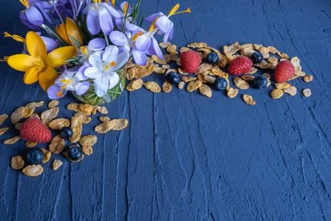 Muesli is scattered on a table Stock Photos
