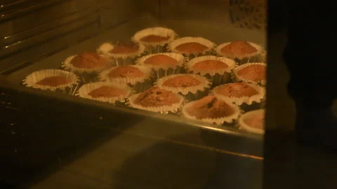 Muffin 09 Stock Footage 95796266