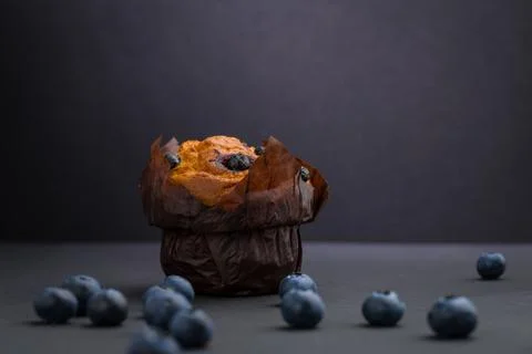 Muffin with blueberries placed on gray surface surrounded by scattered blue.. Stock Photos