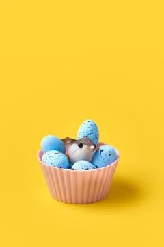 Muffin with easter blue eggs and bird. Springtime concept. Creative conceptual Stock Photos