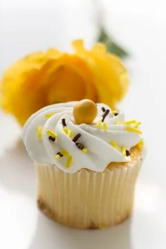 Muffin in front of a rose Stock Photos