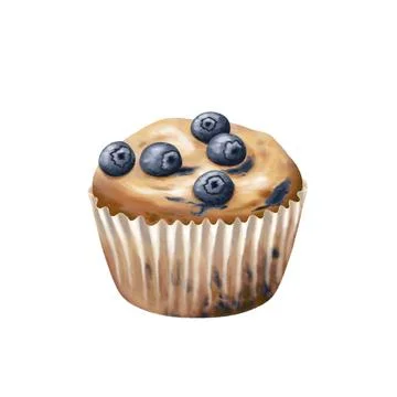 Muffin illustration Stock Illustration