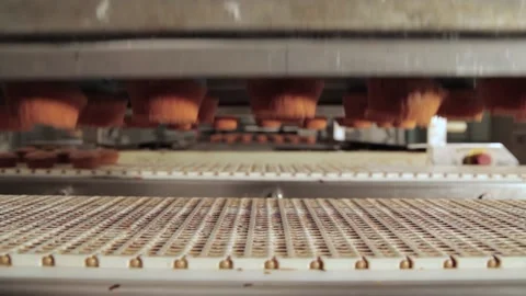 Muffin Production Line Stock Footage 157746155