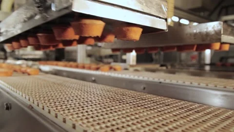 Muffin Production Line Stock Footage 157747601