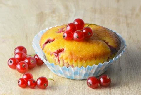 Muffin with red currants Stock Photos