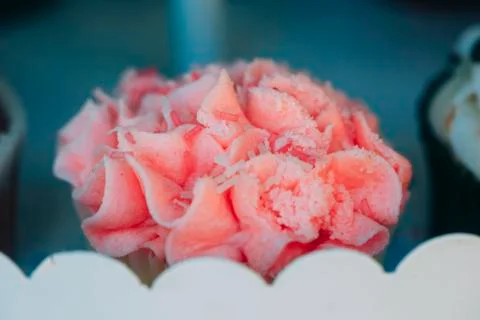 Muffins in the backery Stock Photos