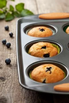 Muffins with blueberries Stock Photos