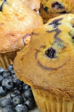 Muffins close-up Stock Photos