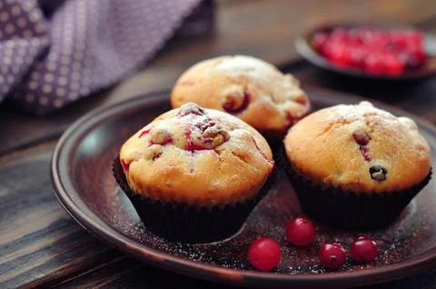 Muffins with cranberry 스톡 사진