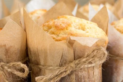 Muffins in paper form Stock Photos