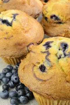 Muffins Stock Photos