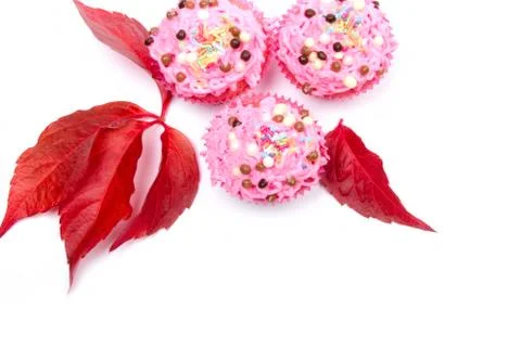 Muffins Stock Photos