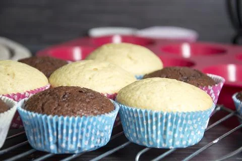 Muffins Stock Photos