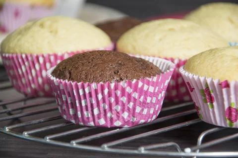 Muffins Stock Photos