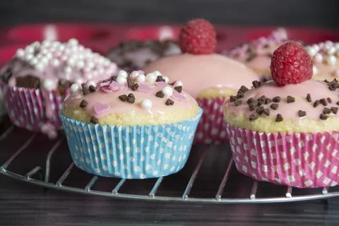 Muffins Stock Photos