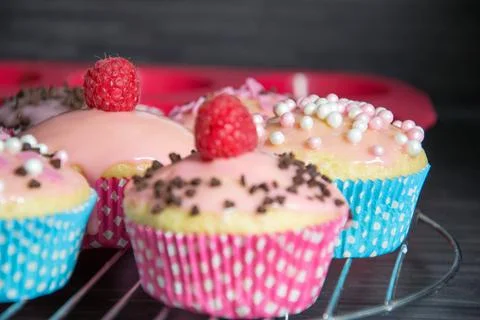 Muffins Stock Photos