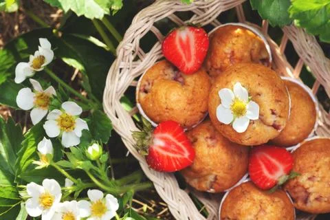 Muffins with strawberries Stock Photos