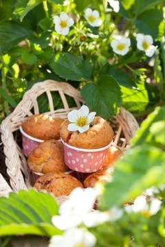 Muffins with strawberries Stock Photos