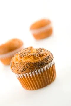 Muffins in studio background Stock Photos