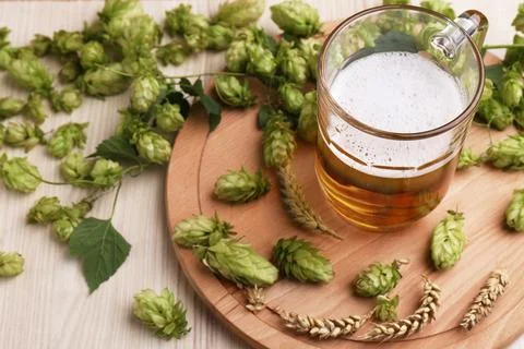 Mug with beer, fresh hops and ears of wheat on light wooden table Stock Photos