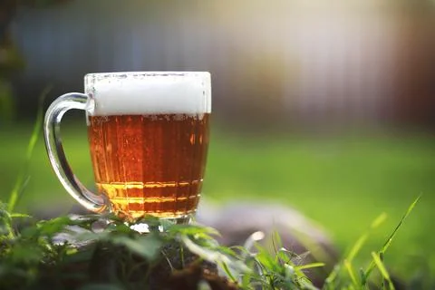 Mug of beer on the grass Stock Photos
