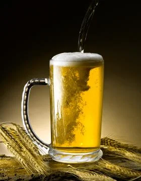 Mug of beer Stock Photos
