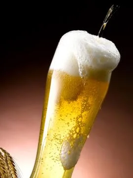 Mug of beer Stock Photos