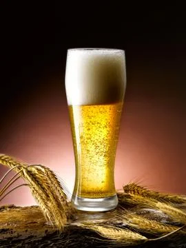 Mug of beer Stock Photos