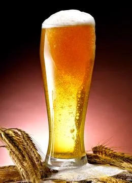 Mug of beer Stock Photos
