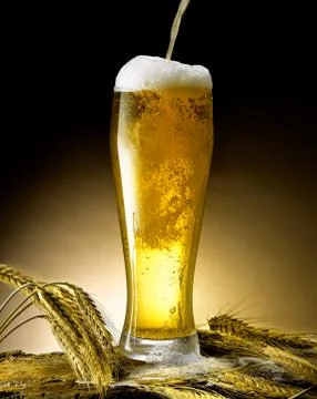 Mug of beer Stock Photos