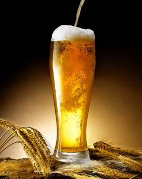 Mug of beer Stock Photos