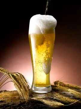 Mug of beer Stock Photos