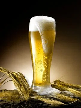 Mug of beer Stock Photos