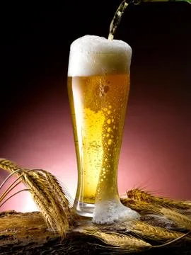 Mug of beer Stock Photos